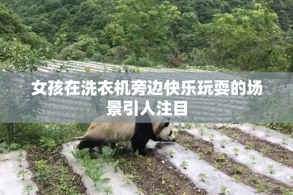 女孩在洗衣机旁边快乐玩耍的场景引人注目