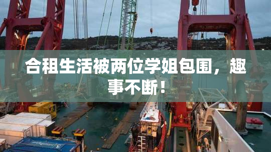 合租生活被两位学姐包围，趣事不断！