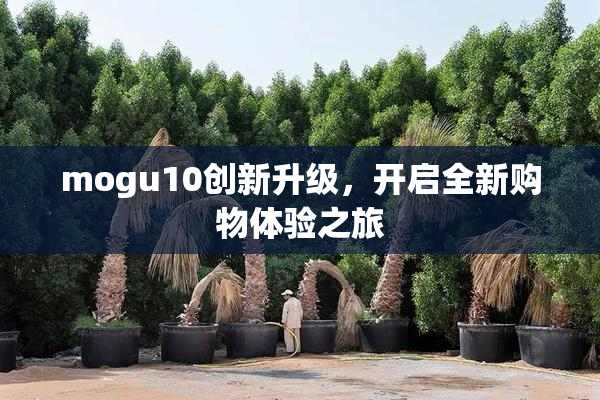 mogu10创新升级，开启全新购物体验之旅