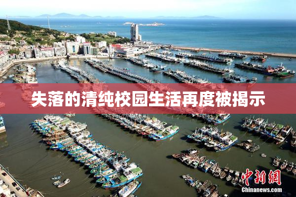 失落的清纯校园生活再度被揭示