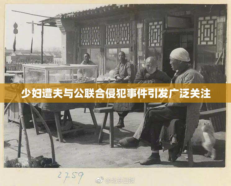 少妇遭夫与公联合侵犯事件引发广泛关注