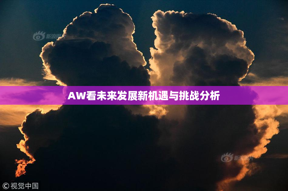 AW看未来发展新机遇与挑战分析