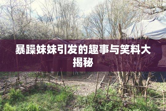 暴躁妹妹引发的趣事与笑料大揭秘