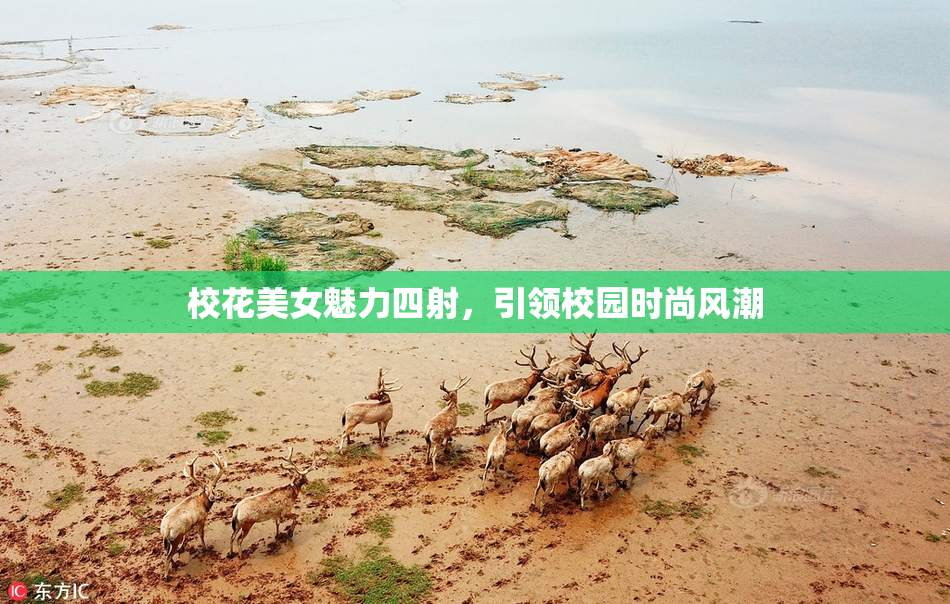 校花美女魅力四射，引领校园时尚风潮