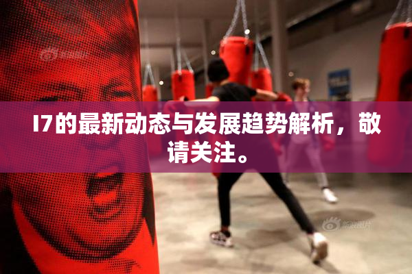 I7的最新动态与发展趋势解析，敬请关注。