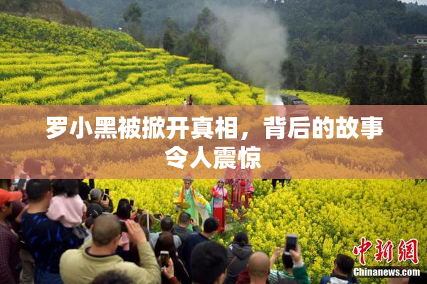 罗小黑被掀开真相，背后的故事令人震惊