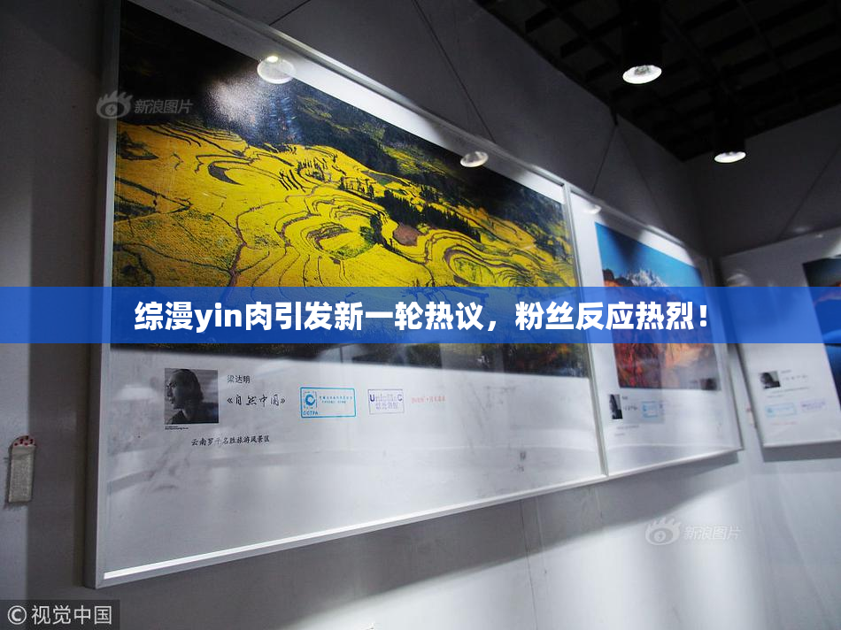 综漫yin肉引发新一轮热议，粉丝反应热烈！