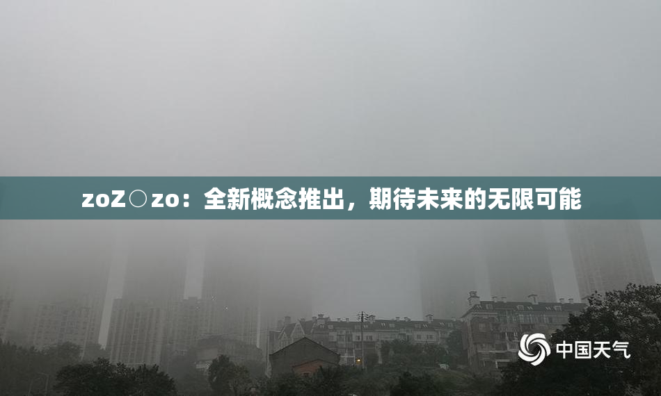 zoZ○zo：全新概念推出，期待未来的无限可能