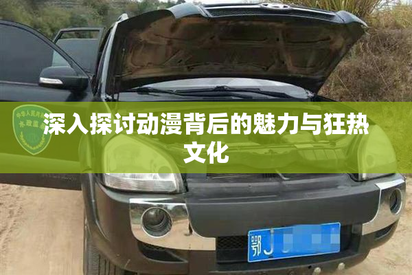 深入探讨动漫背后的魅力与狂热文化
