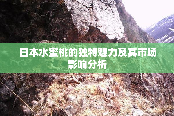 日本水蜜桃的独特魅力及其市场影响分析