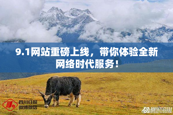 9.1网站重磅上线，带你体验全新网络时代服务！