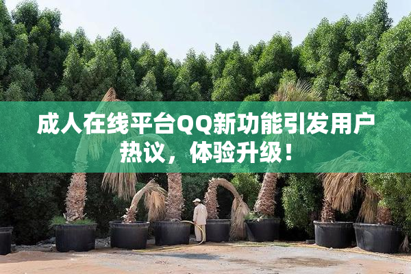成人在线平台QQ新功能引发用户热议，体验升级！