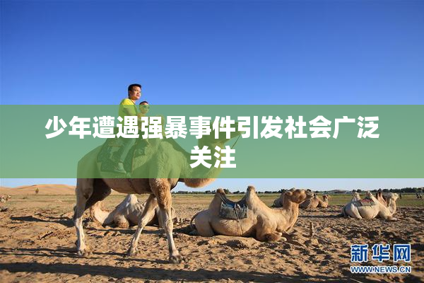 少年遭遇强暴事件引发社会广泛关注