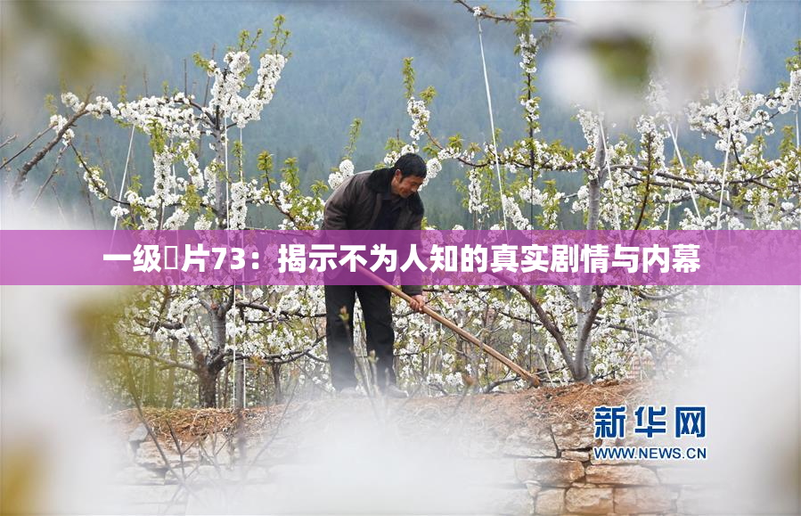 一级婬片73：揭示不为人知的真实剧情与内幕