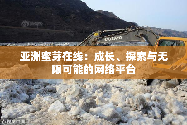 亚洲蜜芽在线：成长、探索与无限可能的网络平台
