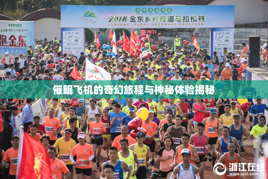 催眠飞机的奇幻旅程与神秘体验揭秘