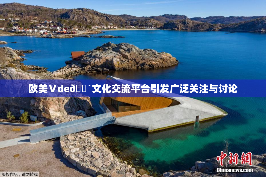 欧美Ⅴde🔴文化交流平台引发广泛关注与讨论