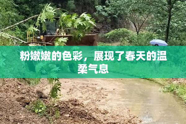 粉嫩嫩的色彩，展现了春天的温柔气息
