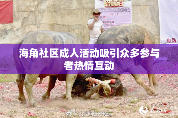 海角社区成人活动吸引众多参与者热情互动