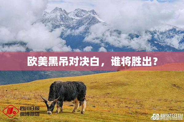 欧美黑吊对决白，谁将胜出？