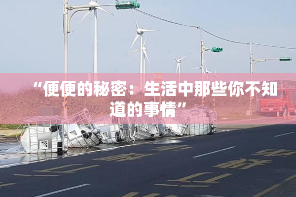 “便便的秘密：生活中那些你不知道的事情”