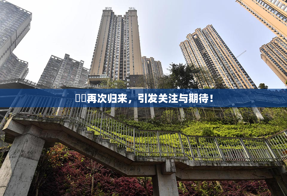 妺妺再次归来，引发关注与期待！
