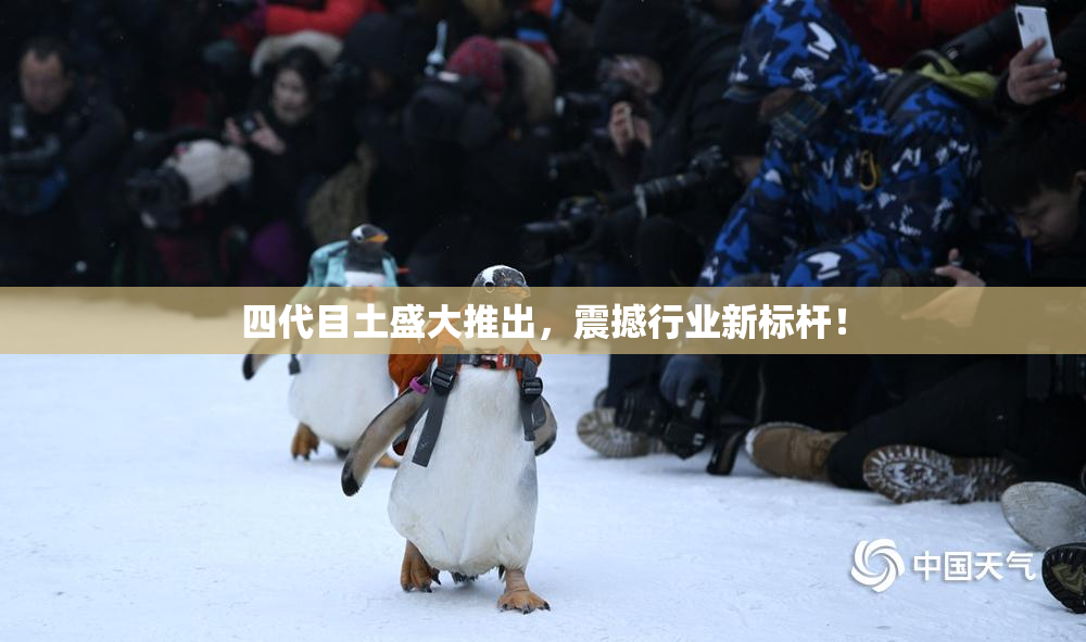 四代目土盛大推出，震撼行业新标杆！