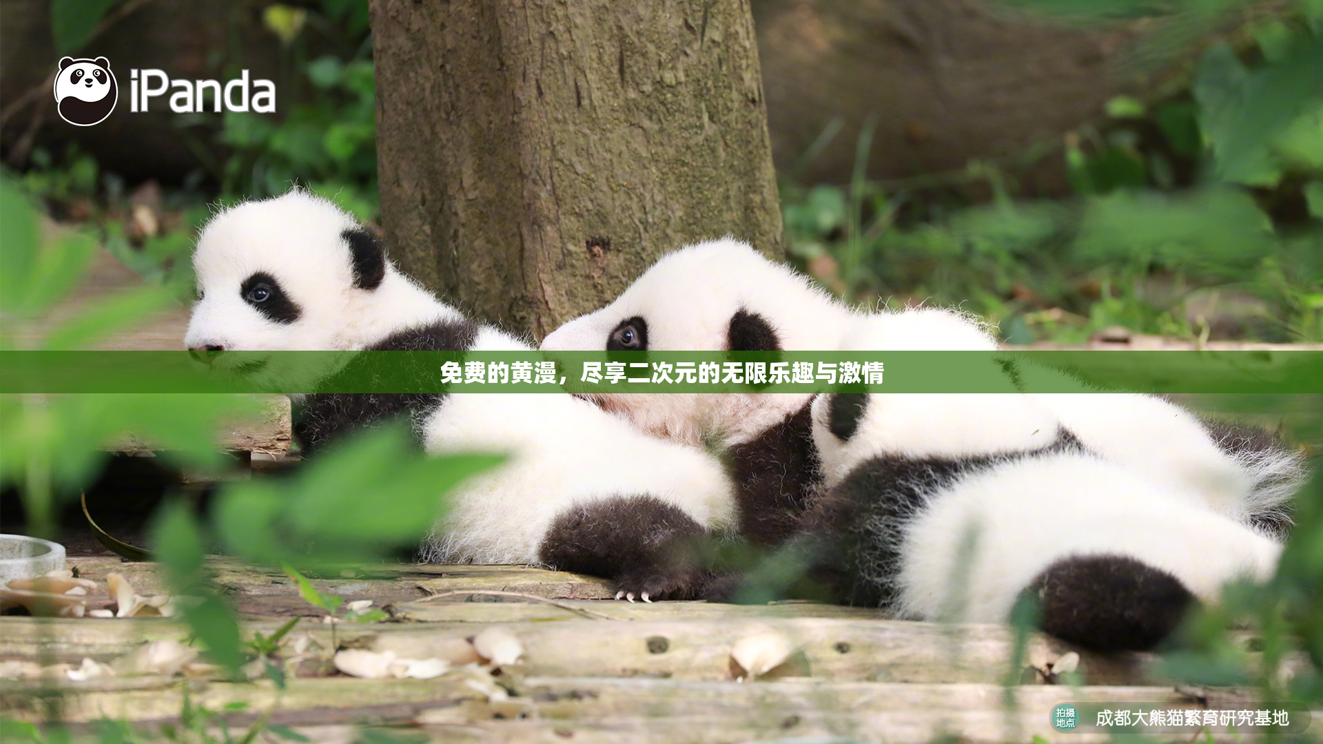 免费的黄漫，尽享二次元的无限乐趣与激情