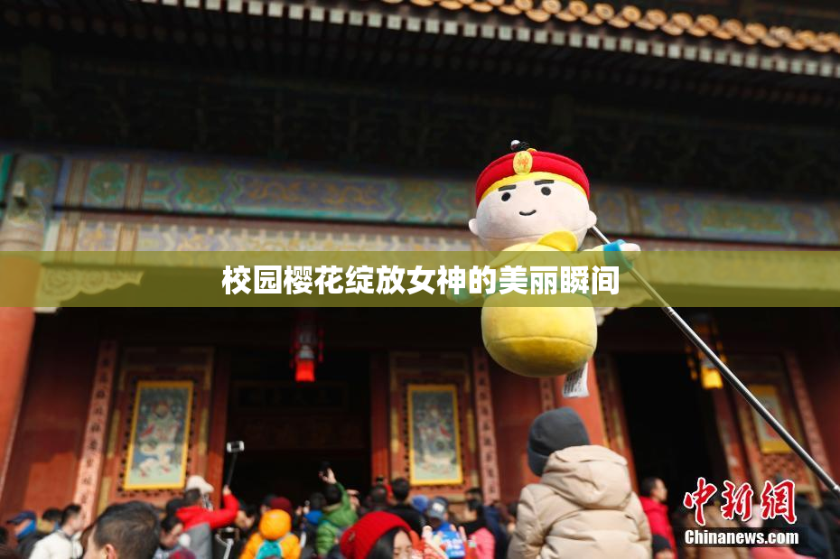 校园樱花绽放女神的美丽瞬间