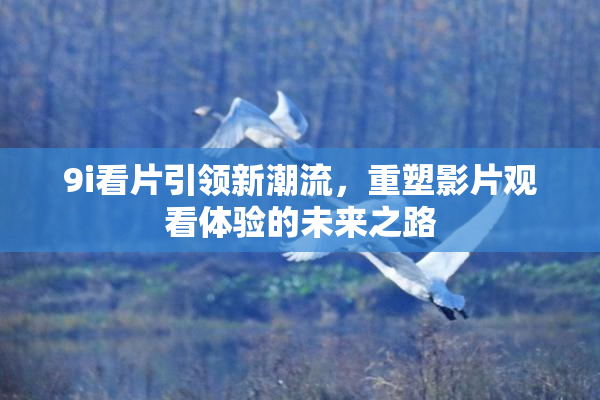 9i看片引领新潮流，重塑影片观看体验的未来之路