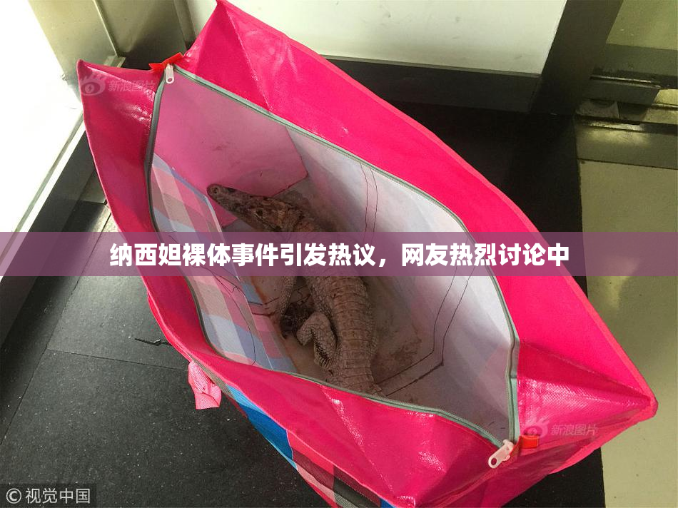 纳西妲裸体事件引发热议，网友热烈讨论中