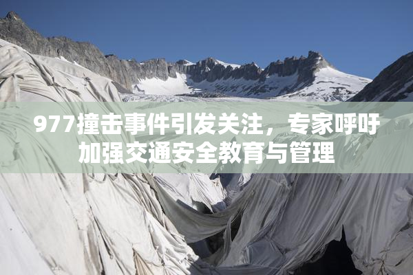 977撞击事件引发关注，专家呼吁加强交通安全教育与管理