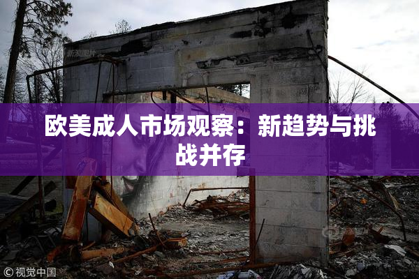 欧美成人市场观察：新趋势与挑战并存