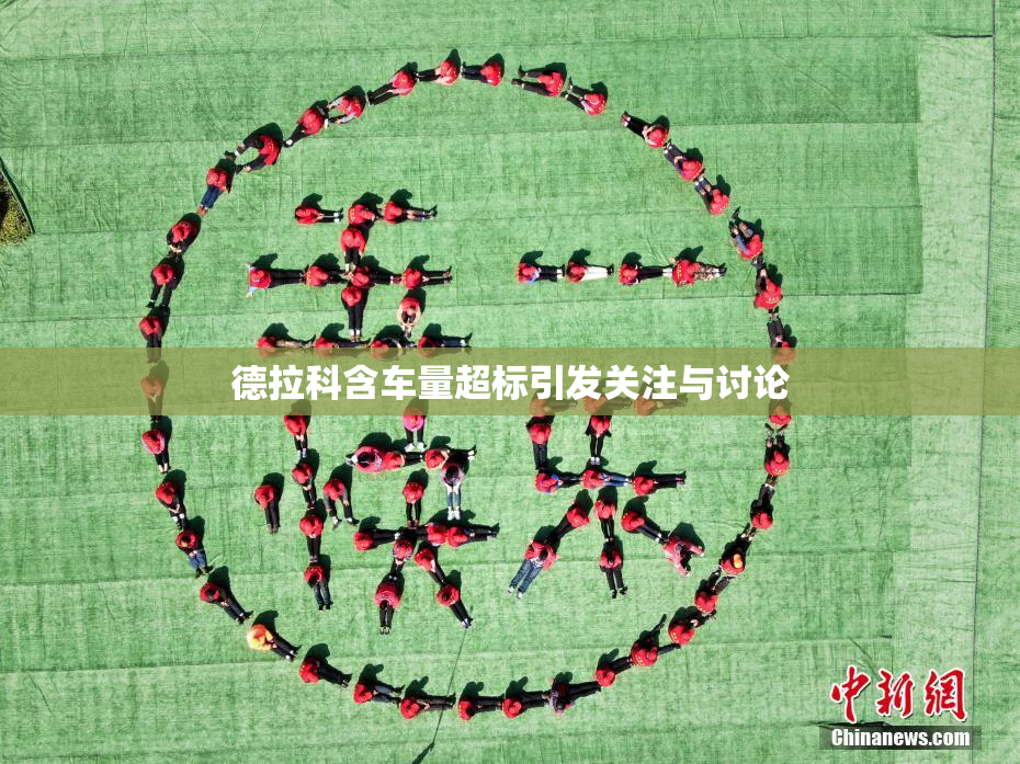 德拉科含车量超标引发关注与讨论