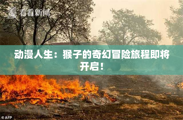 动漫人生：猴子的奇幻冒险旅程即将开启！