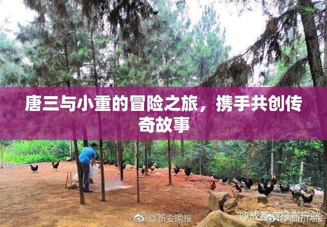 唐三与小重的冒险之旅，携手共创传奇故事