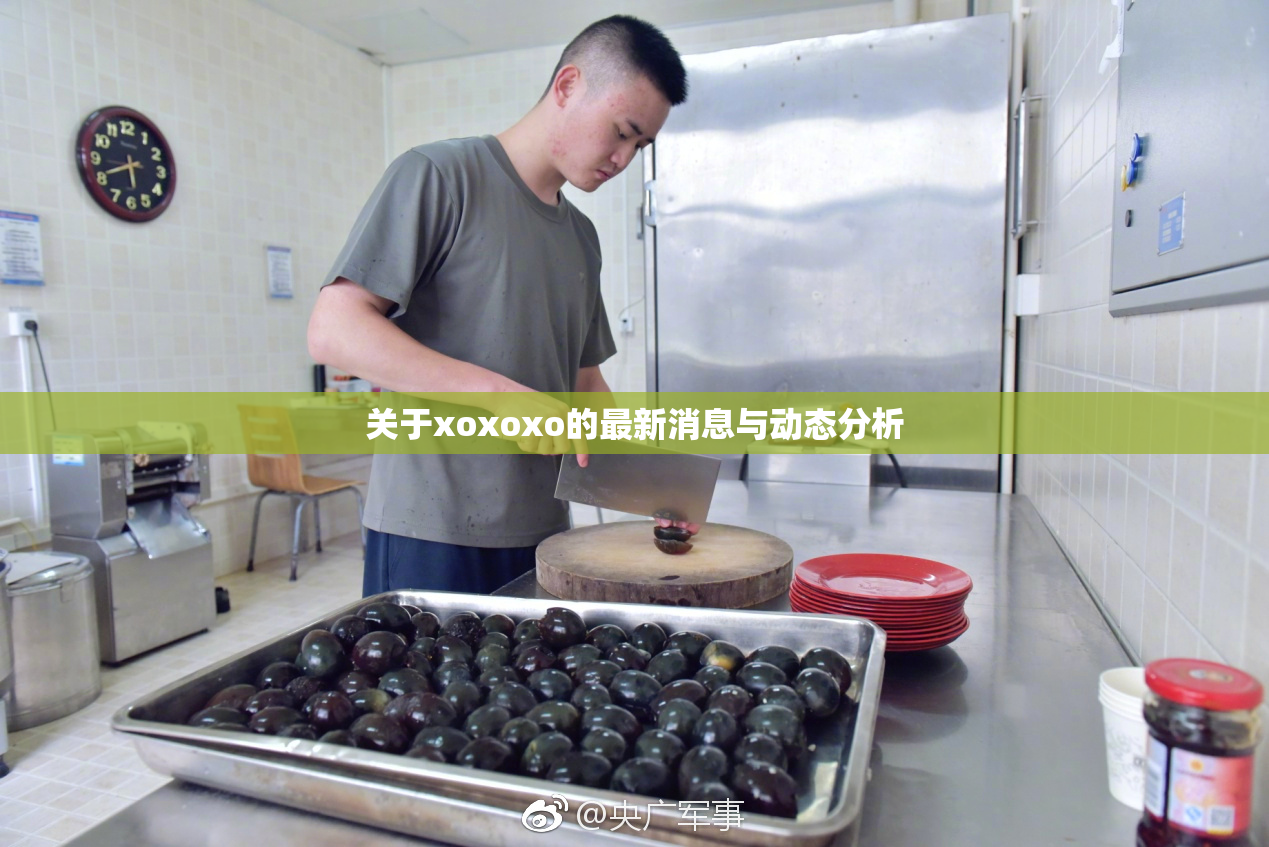关于xoxoxo的最新消息与动态分析
