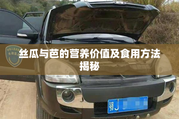 丝瓜与芭的营养价值及食用方法揭秘