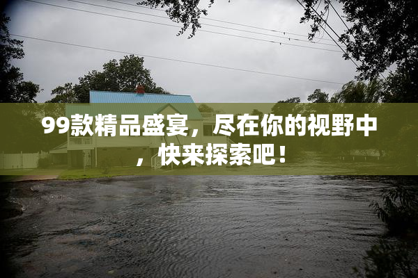 99款精品盛宴，尽在你的视野中，快来探索吧！
