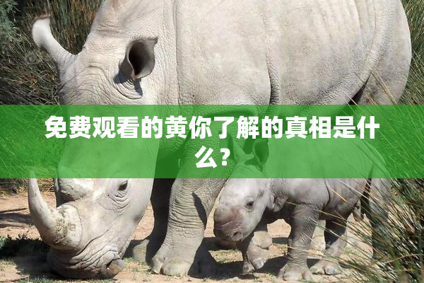 免费观看的黄你了解的真相是什么？