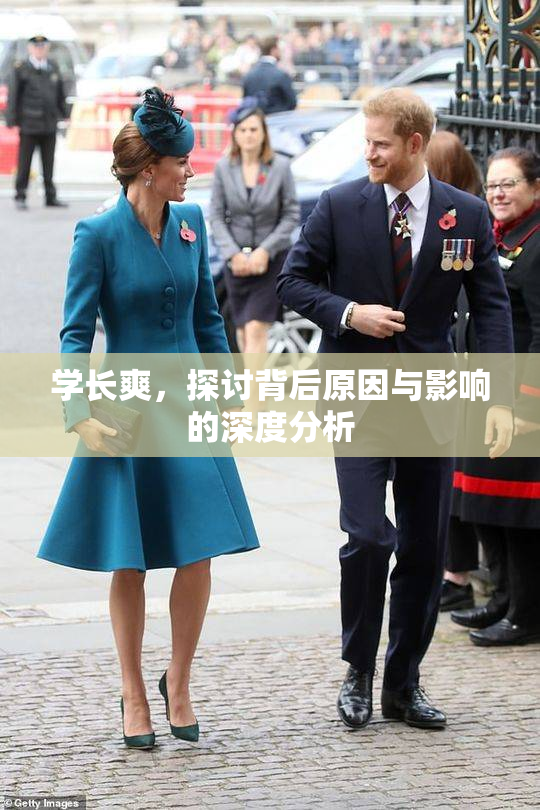 学长爽，探讨背后原因与影响的深度分析