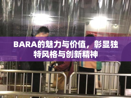 BARA的魅力与价值，彰显独特风格与创新精神