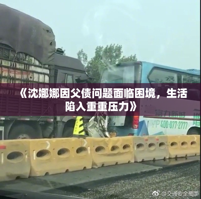 《沈娜娜因父债问题面临困境，生活陷入重重压力》