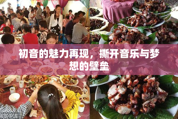 初音的魅力再现，撕开音乐与梦想的壁垒