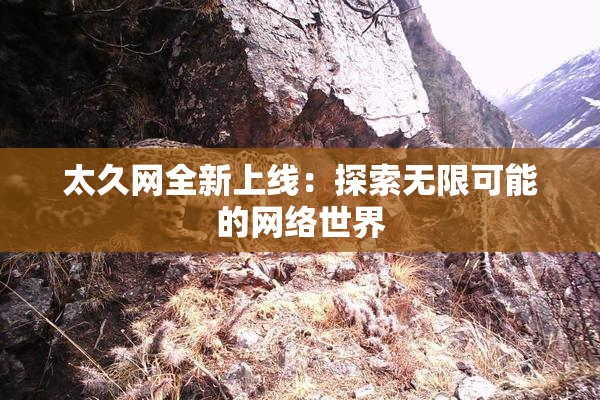 太久网全新上线：探索无限可能的网络世界