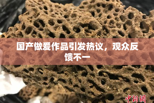 国产做爰作品引发热议，观众反馈不一
