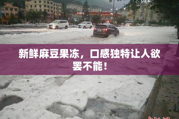 新鲜麻豆果冻，口感独特让人欲罢不能！