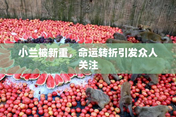 小兰被新重，命运转折引发众人关注