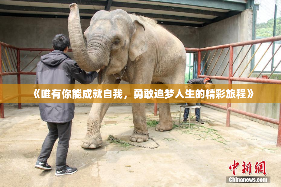 《唯有你能成就自我，勇敢追梦人生的精彩旅程》