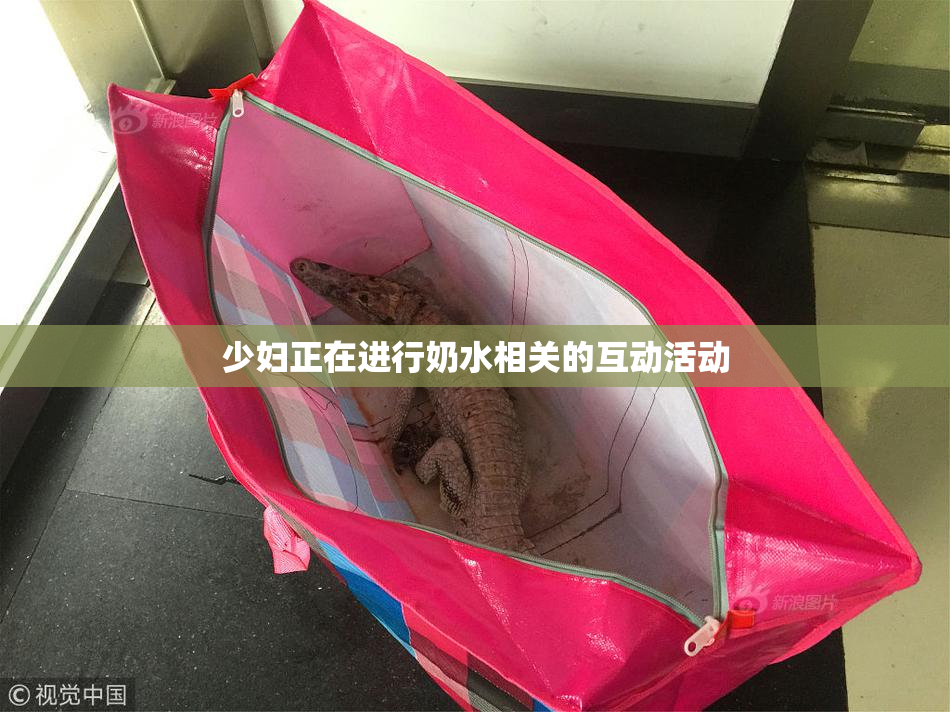 少妇正在进行奶水相关的互动活动